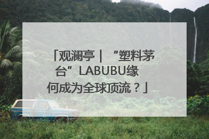 观澜亭|“塑料茅台”LABUBU缘何成为全球顶流?